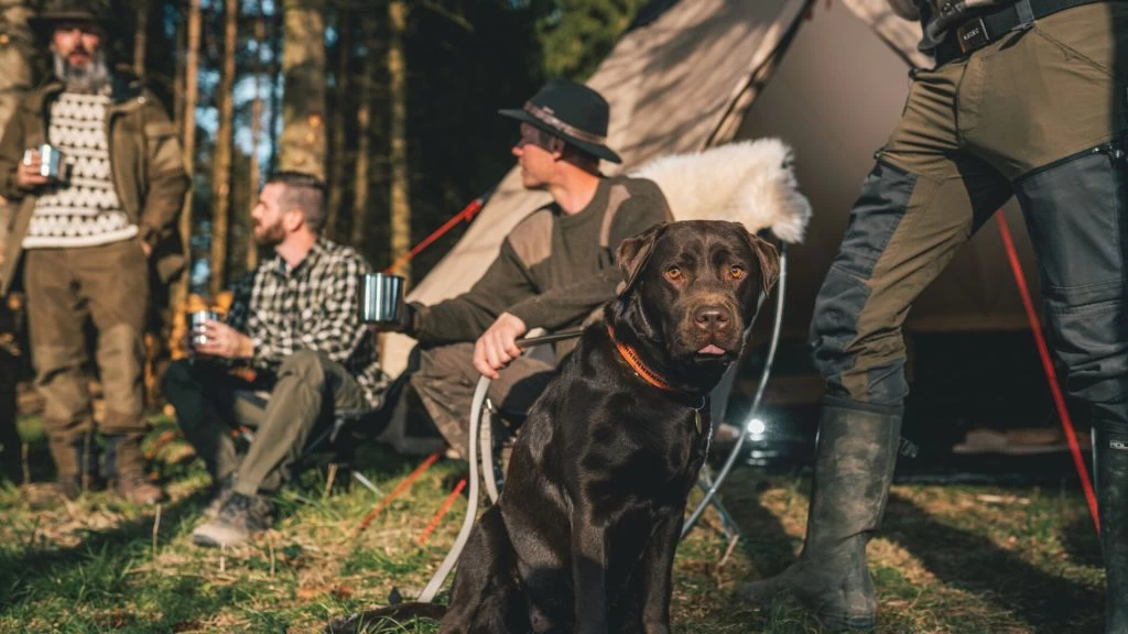 Robens Klondike Twin Tent 22 Robens Klondike Twin Tent - Image 20