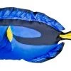 WSB Blue Tang Fish Pillow 50cm